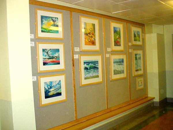 View of exhibition at Macclesfield Hospital