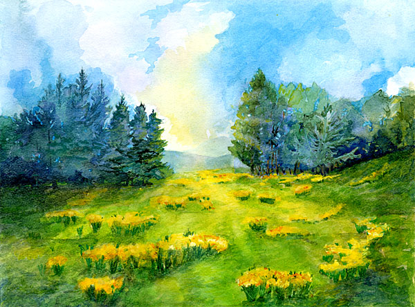 Daffodil Meadow