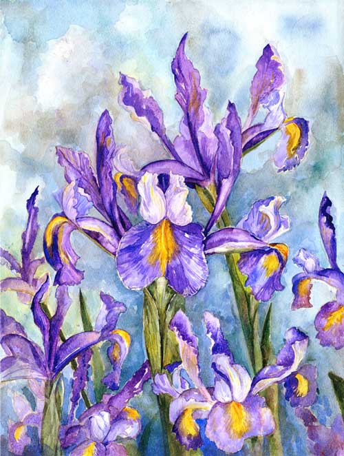 Irises brush the sky