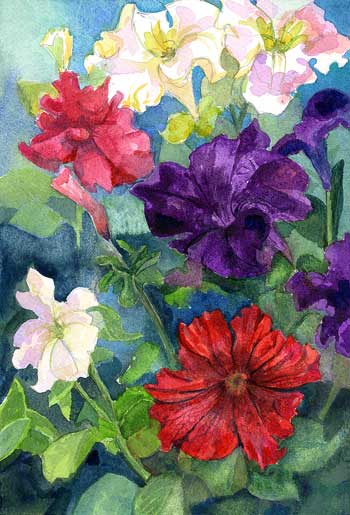 Petunia Profusion