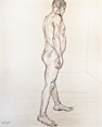 Figure Drawing