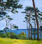 Pine-fringed coast